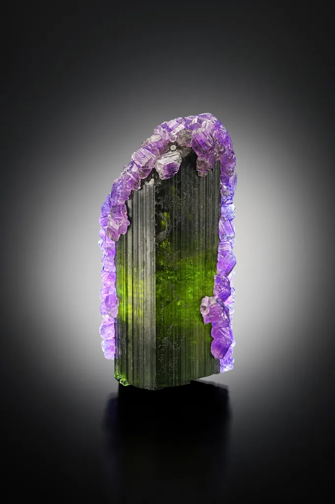 Tourmaline with Apatite image