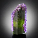 Tourmaline with Apatite - image 1