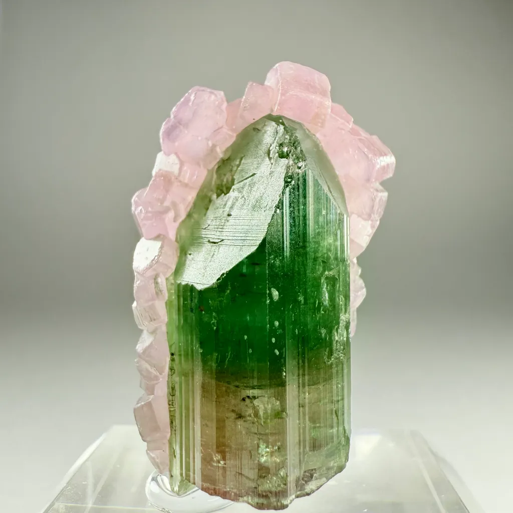 Tourmaline with Apatite - image 3