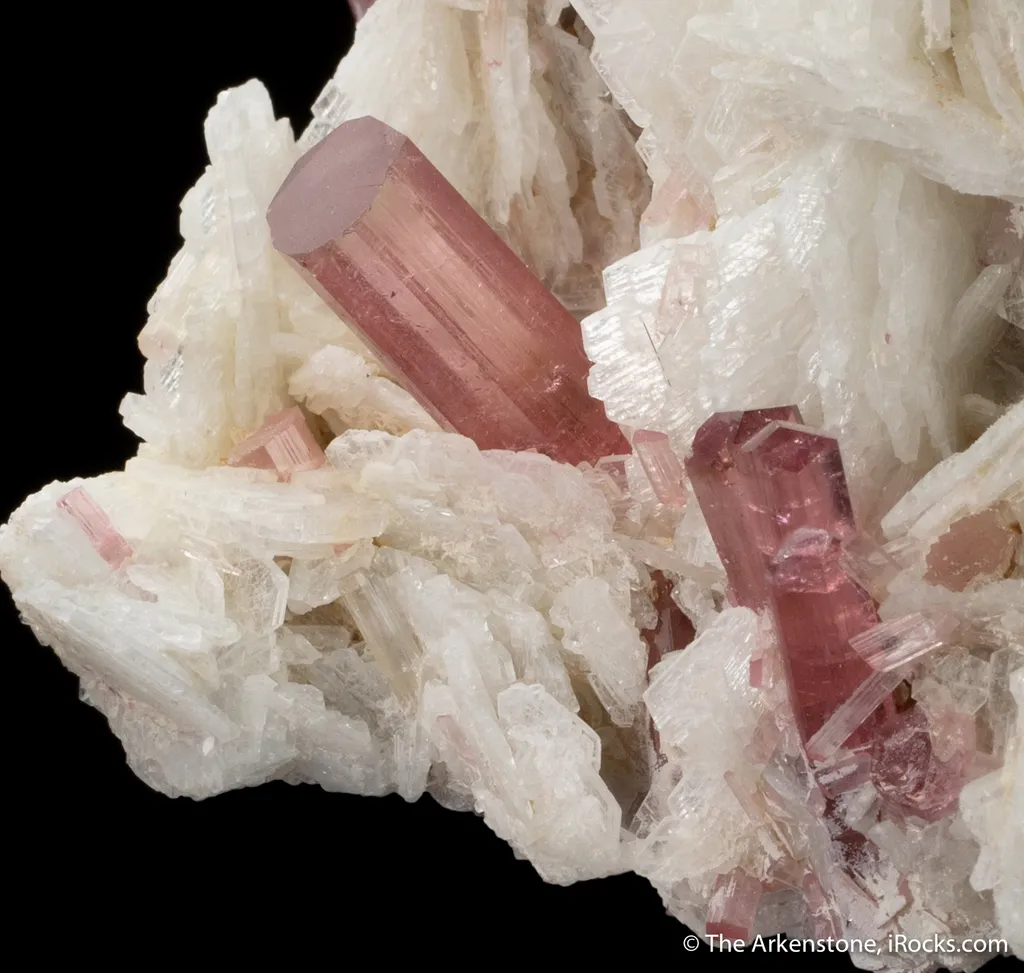Tourmaline with Cleavelandite - image 3