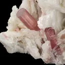 Tourmaline with Cleavelandite - image 3