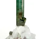 Tourmaline With Cleavelandite - image 3