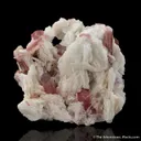 Tourmaline with Cleavelandite - image 6