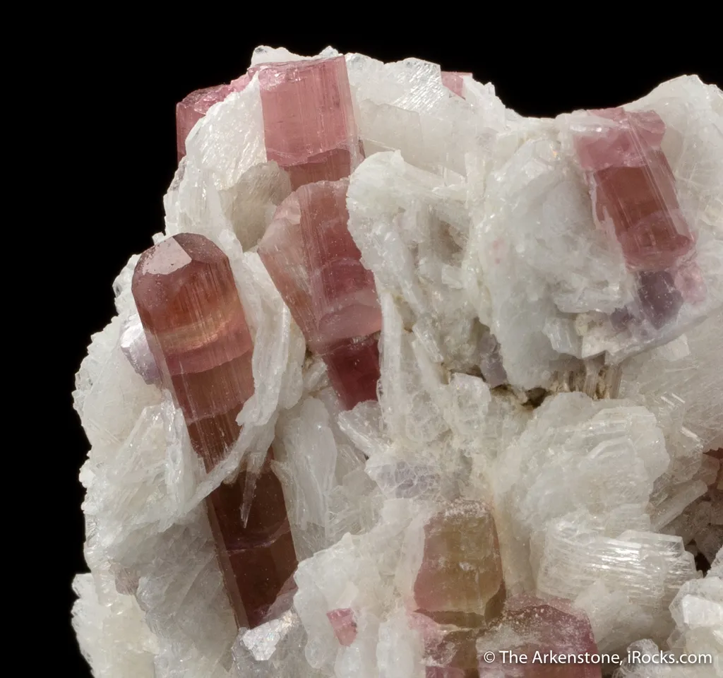 Tourmaline with Cleavelandite - image 8
