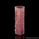 Tourmaline with Cleavelandite - image 2