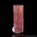 Tourmaline with Cleavelandite - image 1