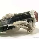 Tourmaline With Cleavelandite - image 2