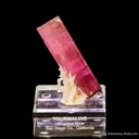 Tourmaline with Cleavelandite (doubly-terminated) - image 5