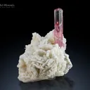 Tourmaline with Cleavelandite from Paprok Afghanistan - image 2