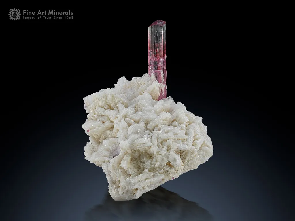 Tourmaline with Cleavelandite from Paprok Afghanistan image