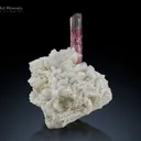 Tourmaline with Cleavelandite from Paprok Afghanistan - image 1