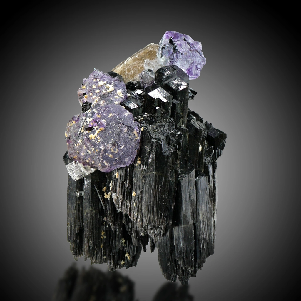 Tourmaline with fluorite, beryl from Erongo, Namibia image