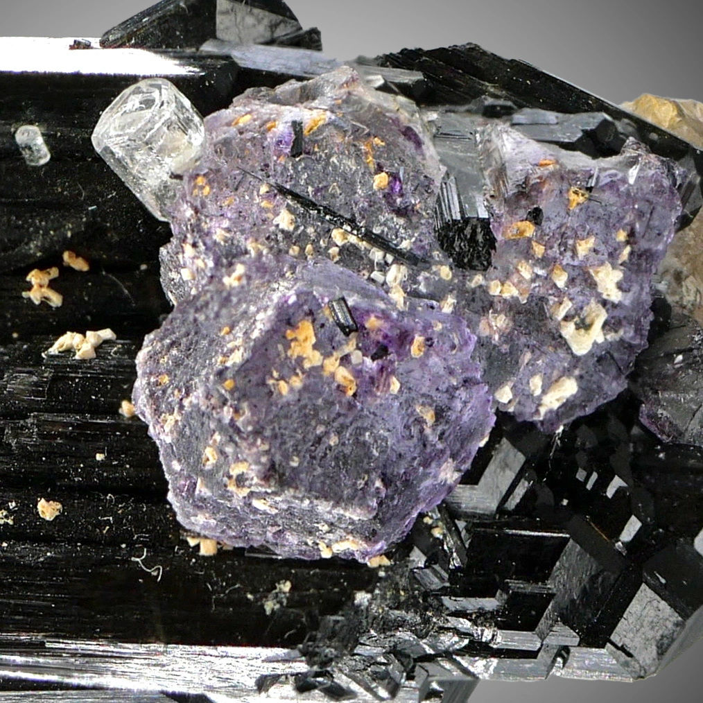 Tourmaline with fluorite, beryl from Erongo, Namibia - image 6