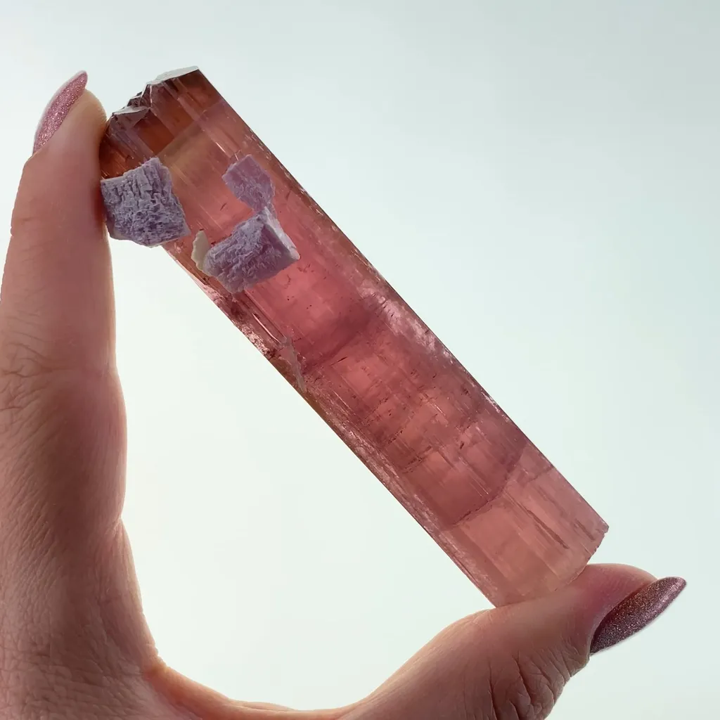 Tourmaline with Lepidolite (1972) image