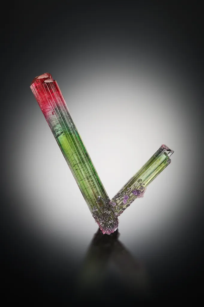 Tourmaline with Lepidolite image
