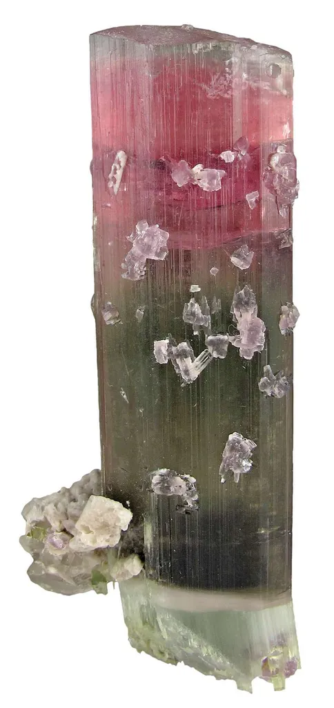 Tourmaline With Lepidolite image