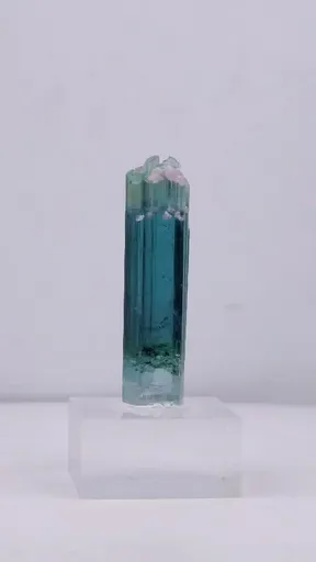 specimen video