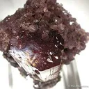 Tourmaline With Lepidolite - image 3