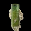 Tourmaline with Lepidolite and Albite - image 1
