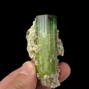 Tourmaline with Lepidolite and Albite - image 6