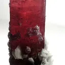 Tourmaline With Lepidolite And Albite (Floater) - image 2