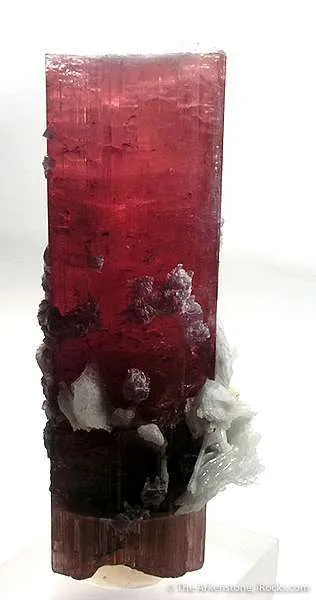 Tourmaline With Lepidolite And Albite (Floater) - image 2