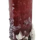 Tourmaline With Lepidolite And Albite (Floater) - image 3