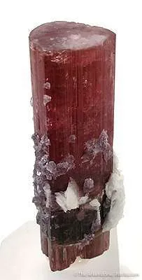 Tourmaline With Lepidolite And Albite (Floater) - image 3