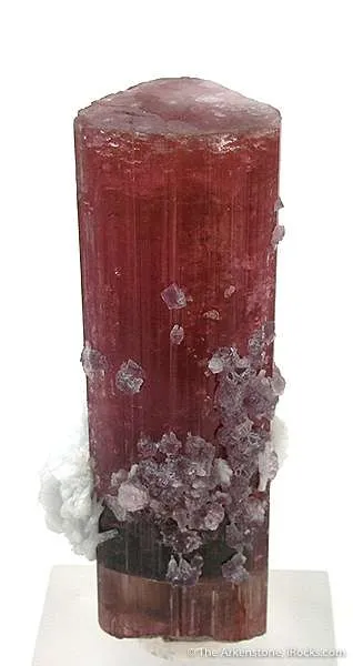 Tourmaline With Lepidolite And Albite (Floater) image