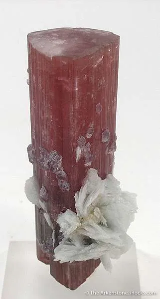 Tourmaline With Lepidolite And Albite (Floater) - image 4