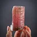 Tourmaline with Lepidolite and Albite var. Cleavelandite - image 1