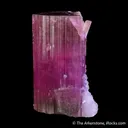 Tourmaline with Lepidolite and Albite var. Cleavelandite - image 4
