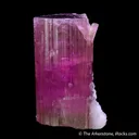 Tourmaline with Lepidolite and Albite var. Cleavelandite - image 6