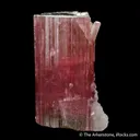 Tourmaline with Lepidolite and Albite var. Cleavelandite - image 3