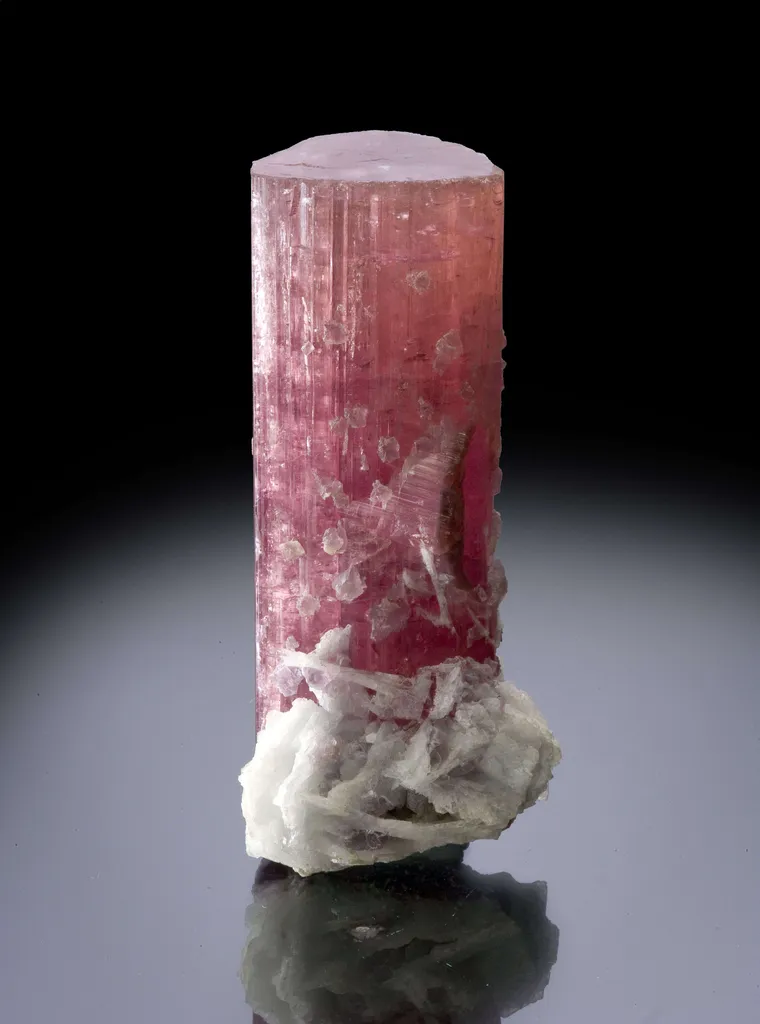 Tourmaline With Lepidolite and Cleavelandite image