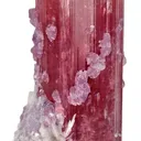 Tourmaline With Lepidolite and Cleavelandite - image 1