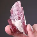 Tourmaline with Lepidolite and Cleavelandite - image 2