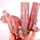 Tourmaline With Lepidolite And Quartz - image 2