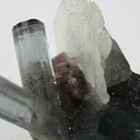 Tourmaline With Lepidolite, Cleavelandite - image 2