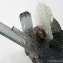 Tourmaline With Lepidolite, Cleavelandite - image 3