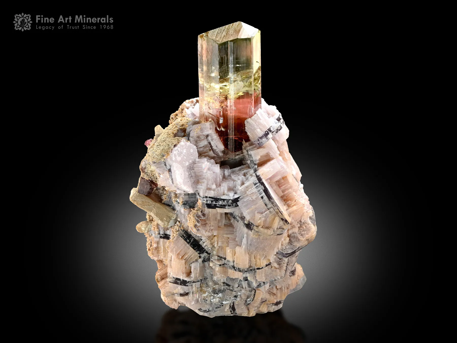 Tourmaline with Lepidolite from Brazil - image 1