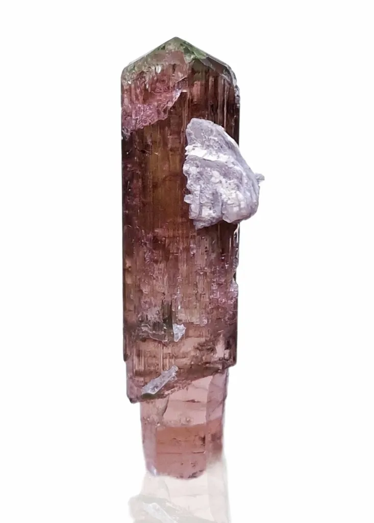 Tourmaline with lepidolite from Muiane Quarry image