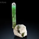 Tourmaline with Lepidolite from Paprok Afghanistan - image 1