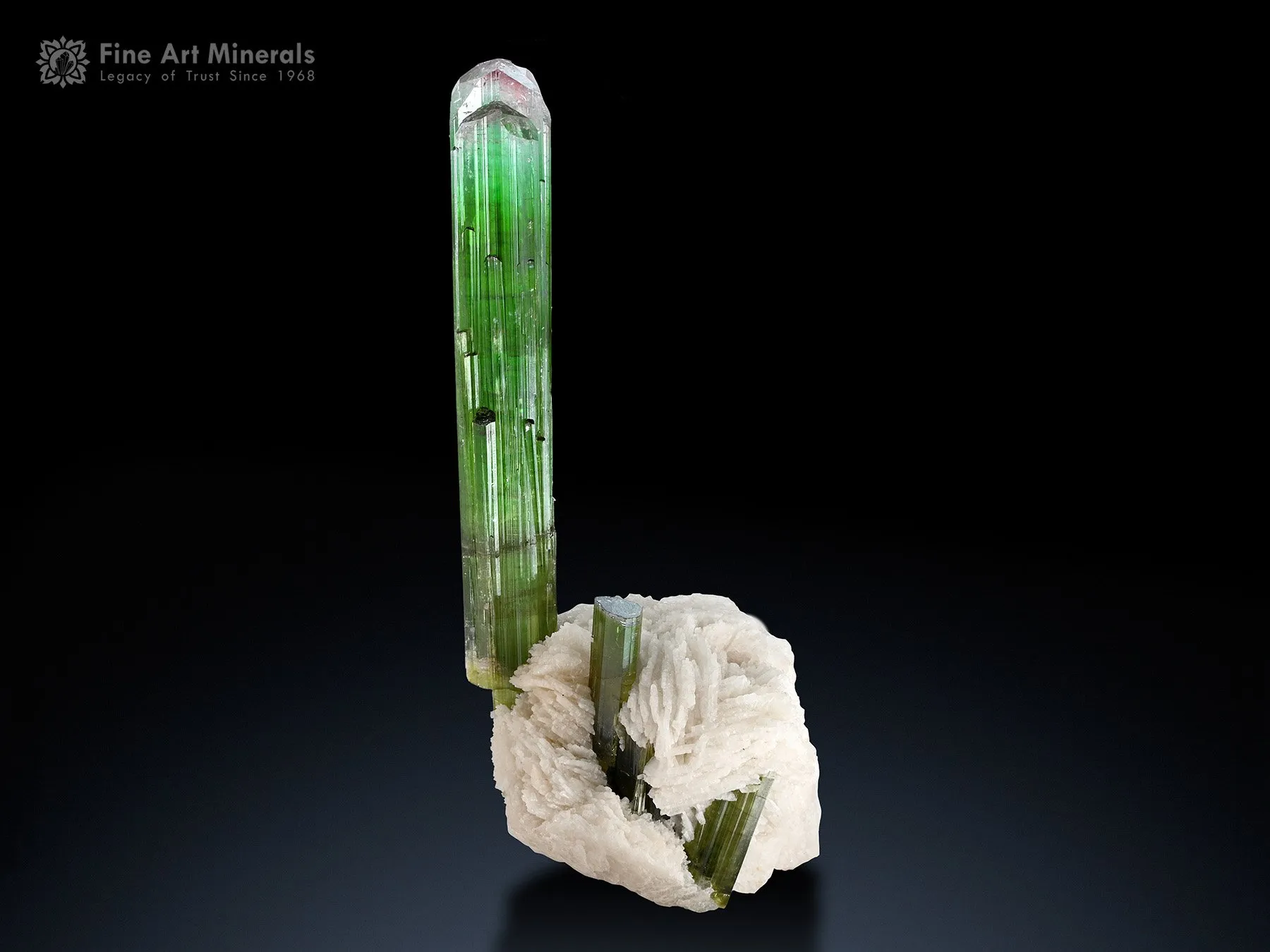 Tourmaline with Lepidolite from Paprok Afghanistan - image 1