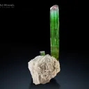 Tourmaline with Lepidolite from Paprok Afghanistan - image 2