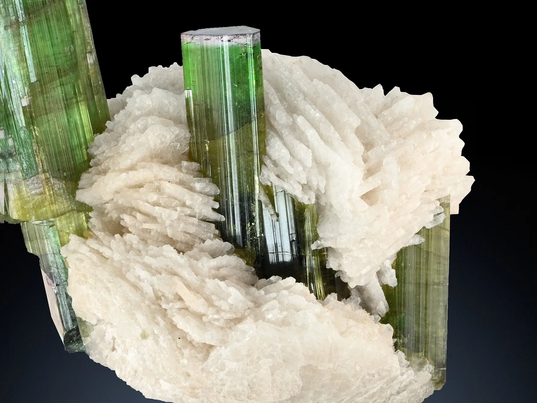 Tourmaline with Lepidolite from Paprok Afghanistan - image 3