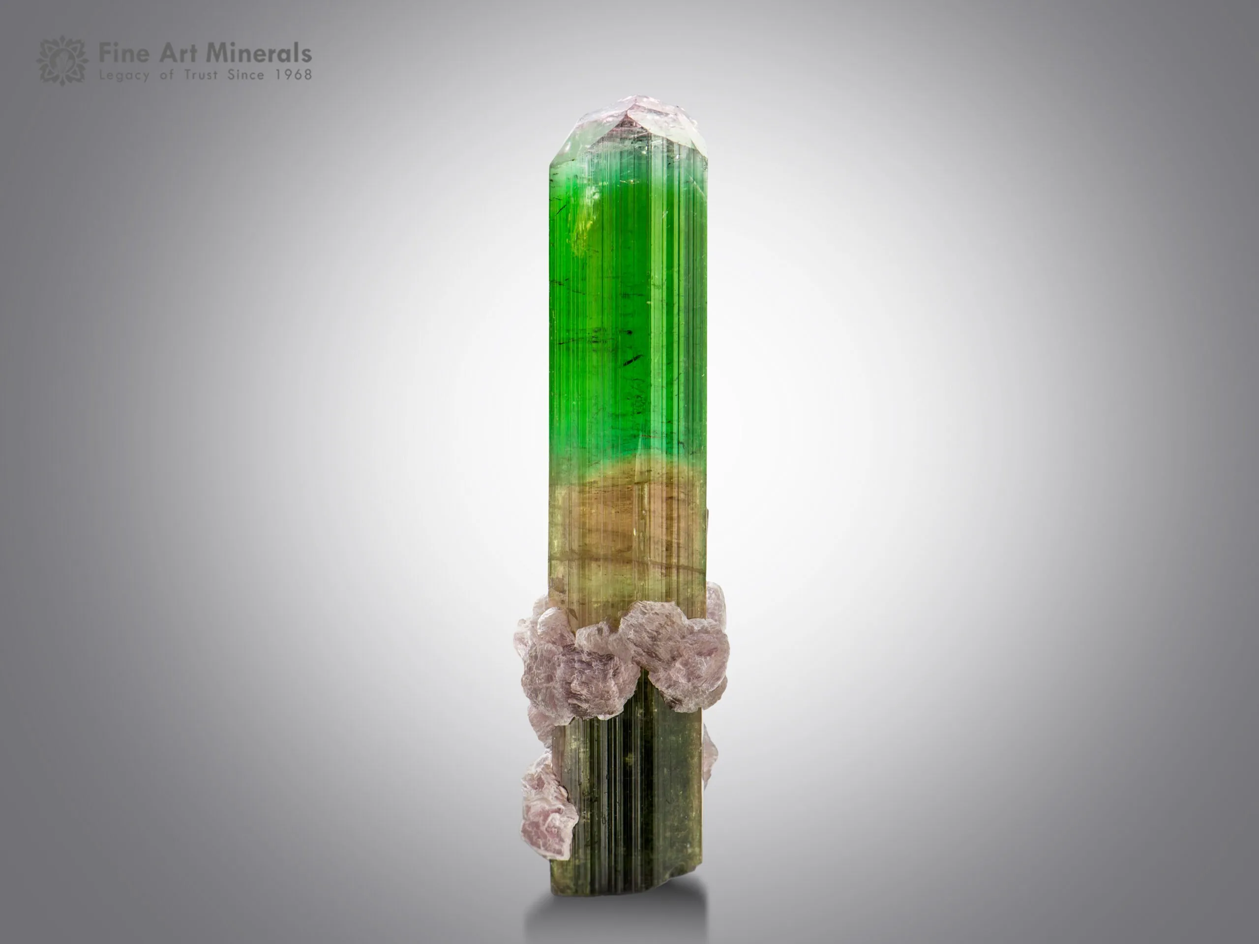 Tourmaline with Lepidolite from Paprok Afghanistan - image 1