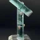Tourmaline with Lepidolite from Pederneira mine - image 1