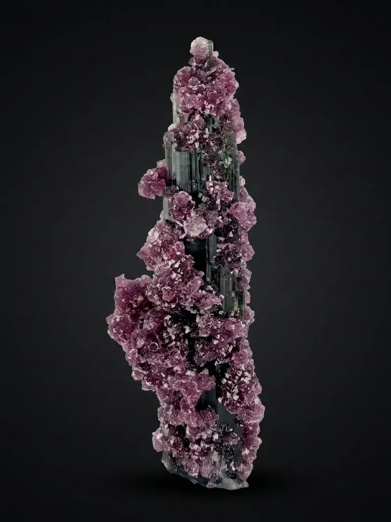 Tourmaline with Lepidolite from Pederneira mine image