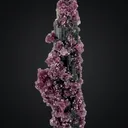 Tourmaline with Lepidolite from Pederneira mine - image 1
